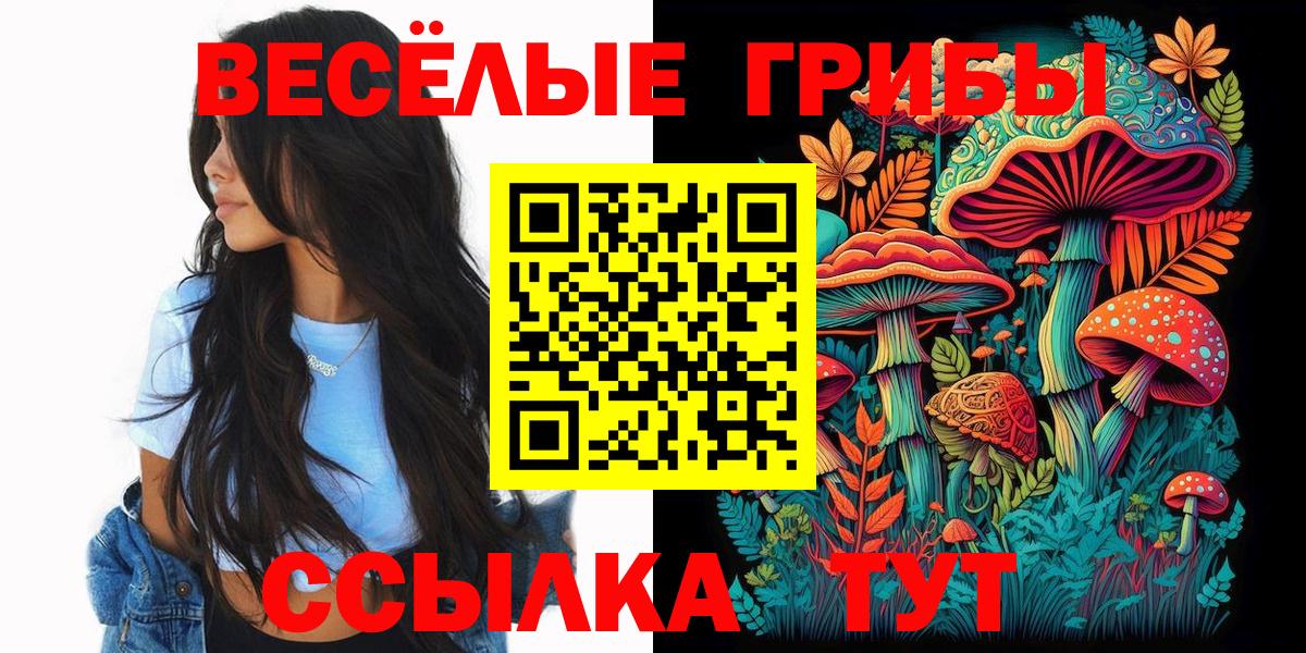 Псилоцибиновые грибы мицелий  Вход с VPN  Ипатово  Галлюциногенные грибы Psilocybine cubensis 