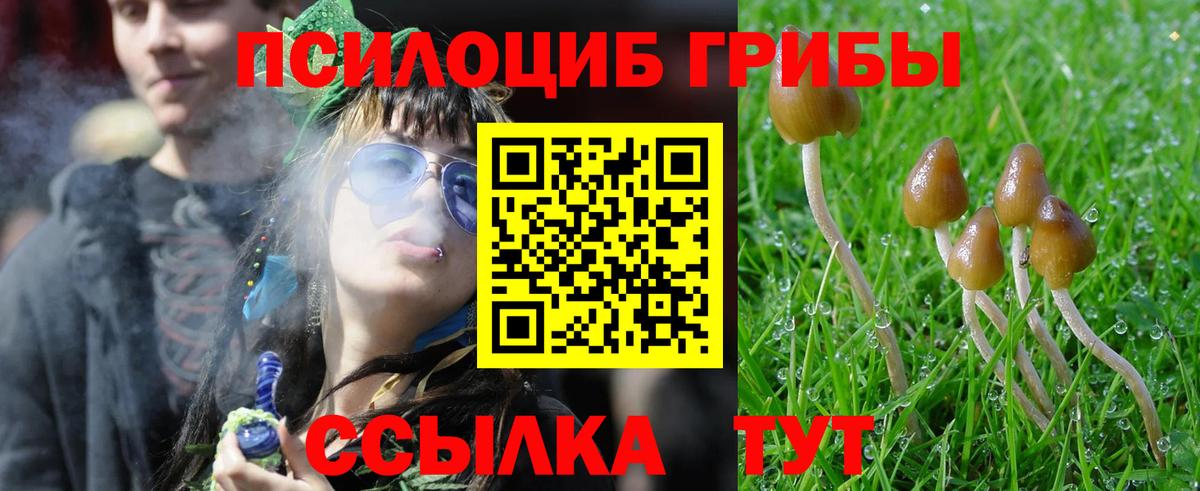Псилоцибиновые грибы ЛСД Ипатово